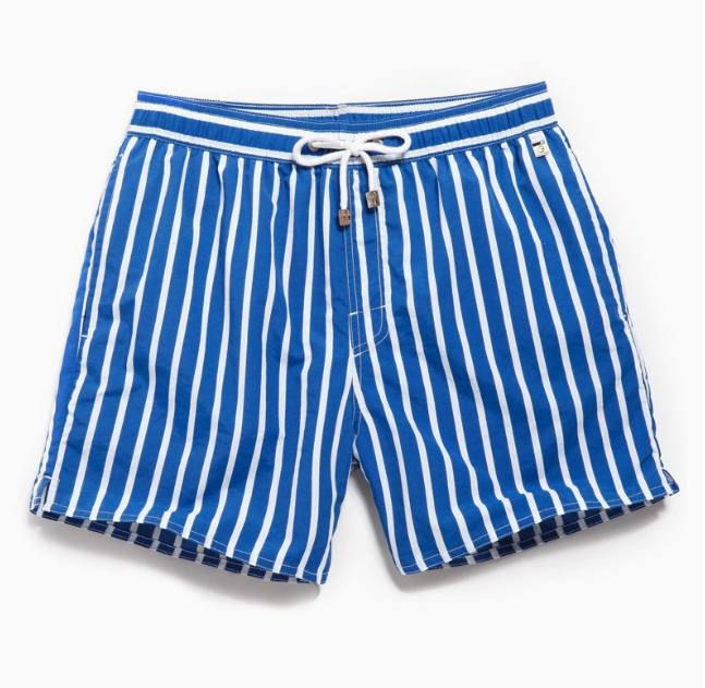 Men's Striped Swim Shorts
