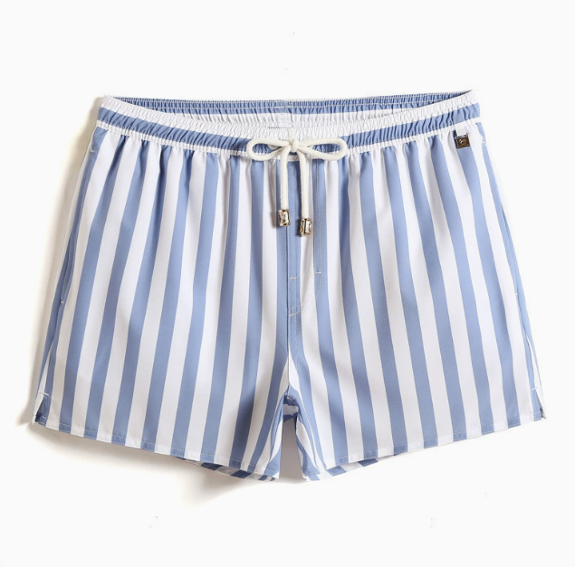 Men's Striped Swim Shorts