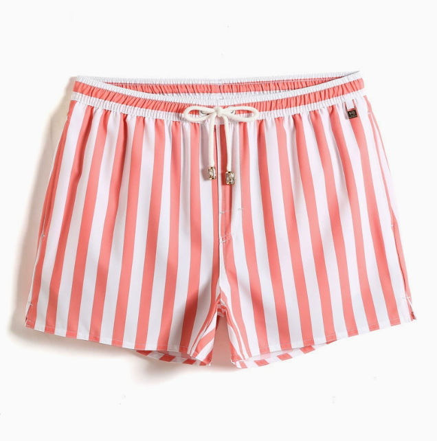 Men's Striped Swim Shorts