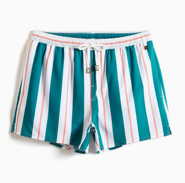 Men's Striped Swim Shorts